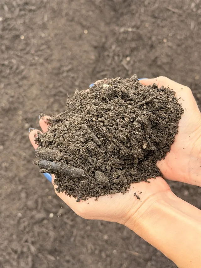 Premium Soil Mix — photo 3