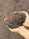 Premium Soil Mix thumbnail 3