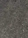 Bella Flora Potting Mix thumbnail 4