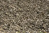 1 1/2" to 3" Natural Round River Stone thumbnail 2