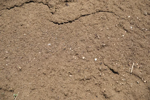 Screened Loam (1/2" Minus) — photo 3