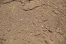 Screened Loam (1/2" Minus) thumbnail 3