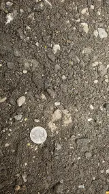 Asphalt Millings thumbnail 2