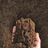 Lawn & Garden Soil thumbnail 3