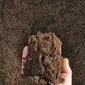Topsoil thumbnail 4