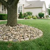 River Rock thumbnail 3