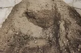Fill / Grade