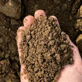 Fill Dirt thumbnail 4