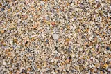 #57 River Gravel thumbnail 2