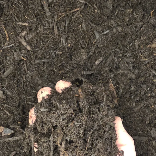 Compost Soil — photo 3