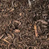 Compost Soil thumbnail 1