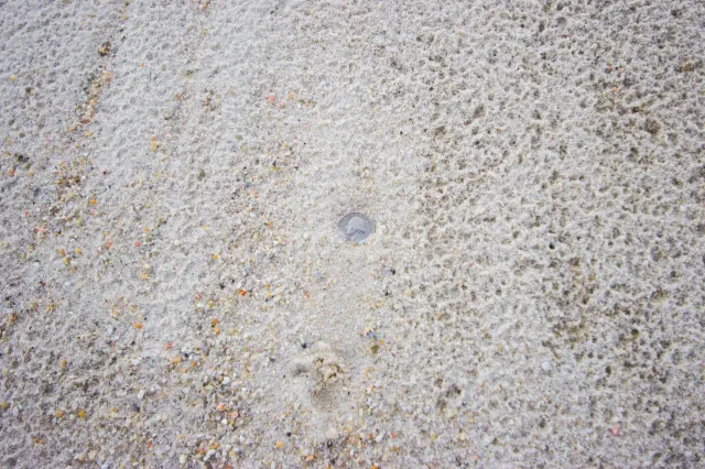 White Mason Sand