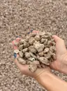 Texas Blush Granite 1/2-1" thumbnail 3
