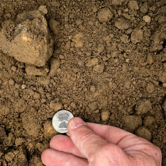 Spillway Dirt — photo 3