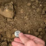 Fill Dirt thumbnail 3