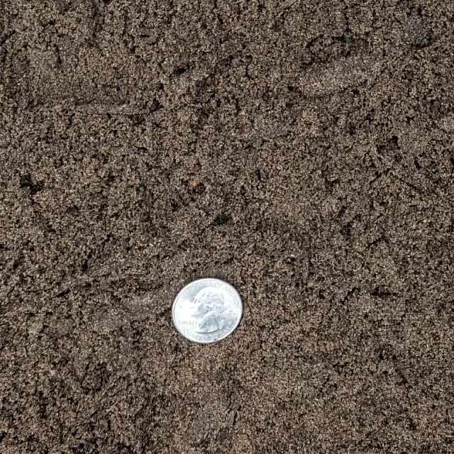 Topsoil — photo 3