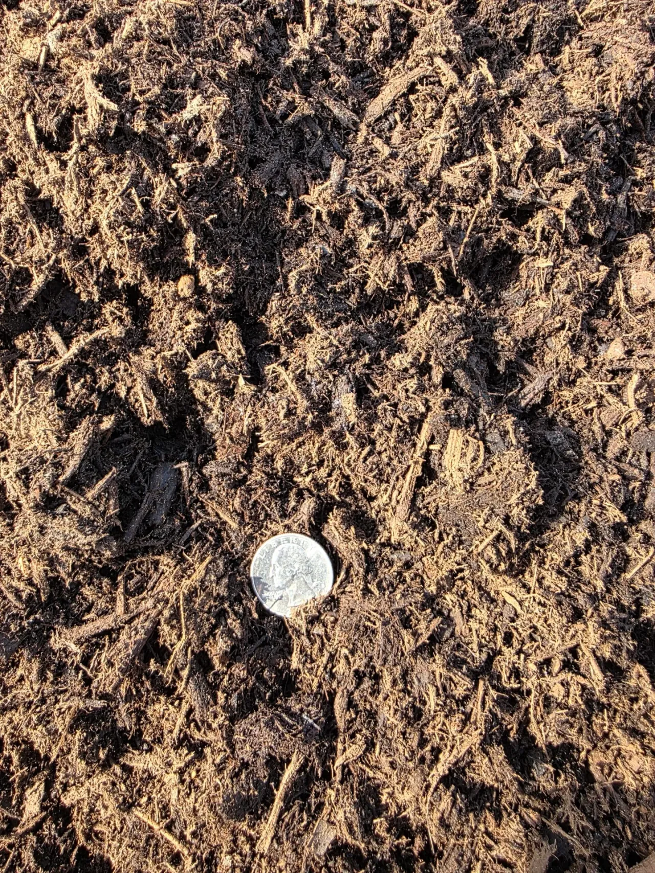 Compost Soil — image 2 of 5