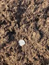 Compost Soil thumbnail 2