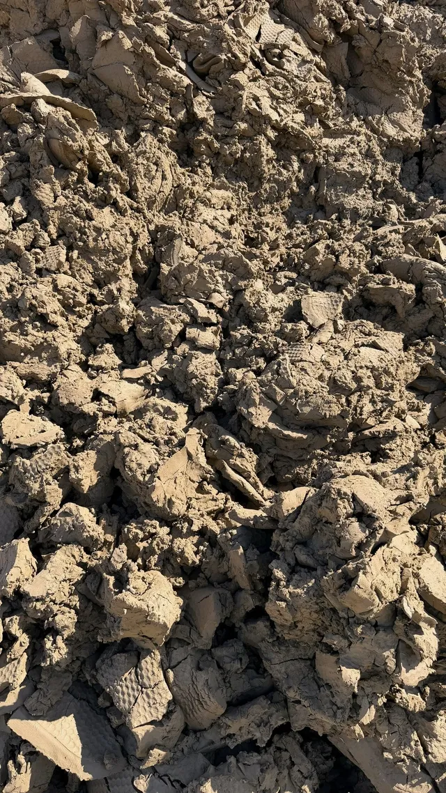 Pond Clay