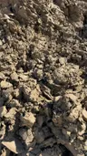 Pond Clay thumbnail 1