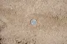 Mason Sand thumbnail 5