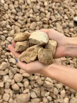 Texas Country Cobble 1-3" thumbnail 3