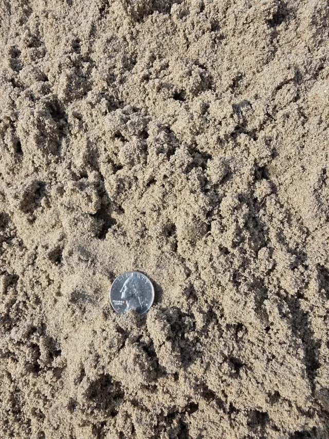 Fill Sand — photo 2