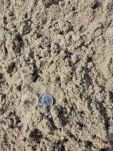 Fill Sand thumbnail 2