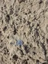Fill Sand thumbnail 2