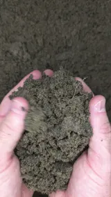 Topsoil thumbnail 2