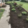 Lawn & Garden Soil thumbnail 6