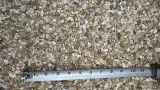 Multicolor Pea Gravel thumbnail 5