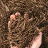Chocolate Hardwood Mulch thumbnail 4