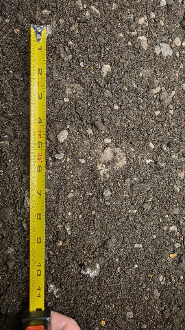 Asphalt Millings — photo 4