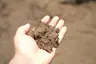 Screened Loam (1/2" Minus) thumbnail 1