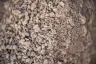Table Mesa 3/8" thumbnail 1