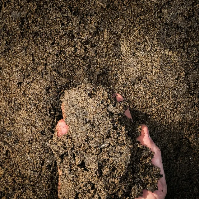 50/50 Blended Soil — photo 4