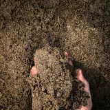 50/50 Blended Soil thumbnail 4