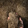 50/50 Blended Soil thumbnail 4