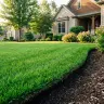Topsoil thumbnail 3