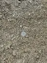 Concrete Sand thumbnail 2