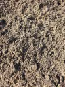 Compost Soil thumbnail 4