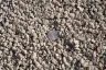 3/8" Natural Pea Gravel thumbnail 4