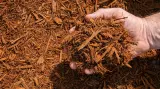 Red Hardwood Mulch thumbnail 3