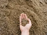 Fill Sand thumbnail 1