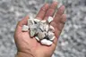 3/4" White Limestone thumbnail 3