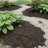Lawn & Garden Soil thumbnail 5