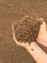 Decomposed Granite thumbnail 2