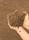 Decomposed Granite thumbnail 2