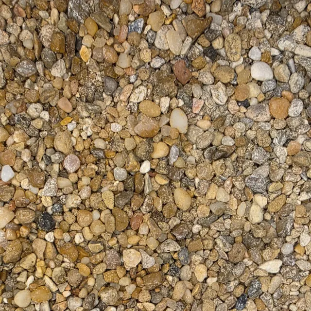 Golden Pea Gravel — photo 2